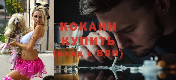 стаф Ладушкин