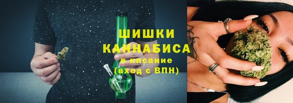стаф Ладушкин
