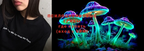 прущая мука Кулебаки