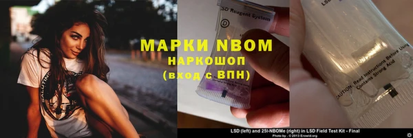 стаф Ладушкин