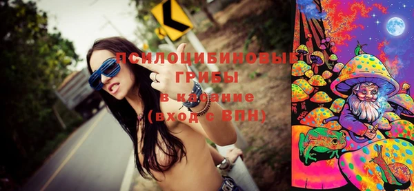 стаф Ладушкин