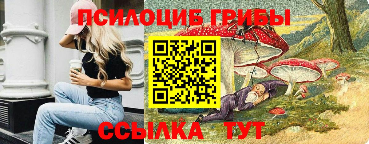 как найти   Псилоцибиновые грибы Cubensis  Вход с VPN  Фрязино  Галлюциногенные грибы MAGIC MUSHROOMS 