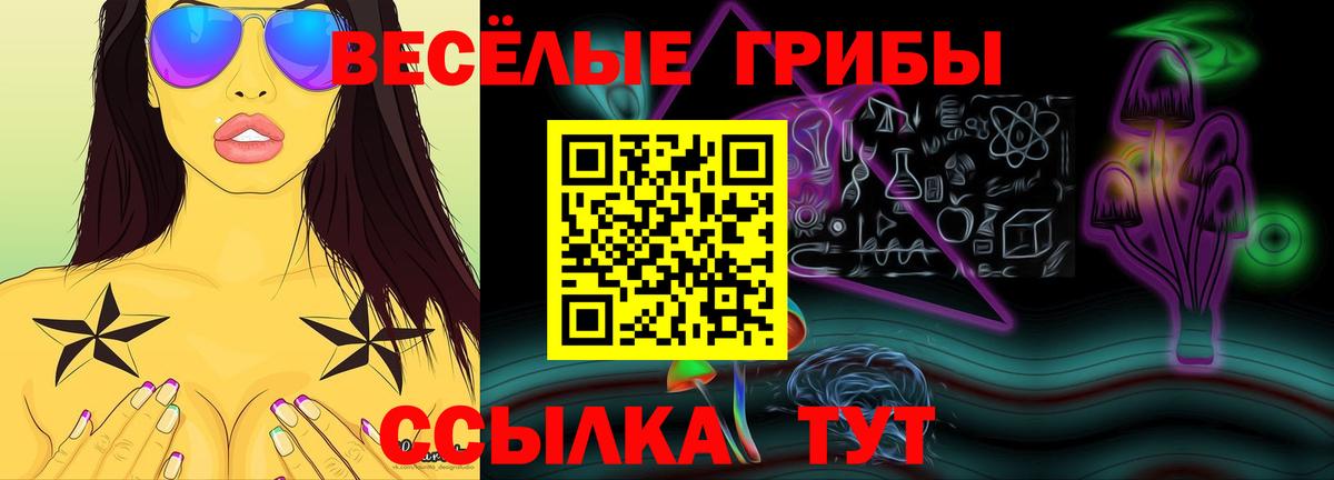 Псилоцибиновые грибы мухоморы Фрязино